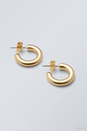 Weekday Bold Hoops Golden | HKWC2728