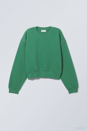 Weekday Crop Volume Sweatshirt Green | CTQW5118