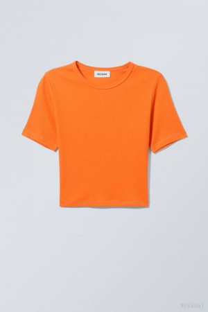 Weekday Mini Rib Crop Top Orange | HSNV6687