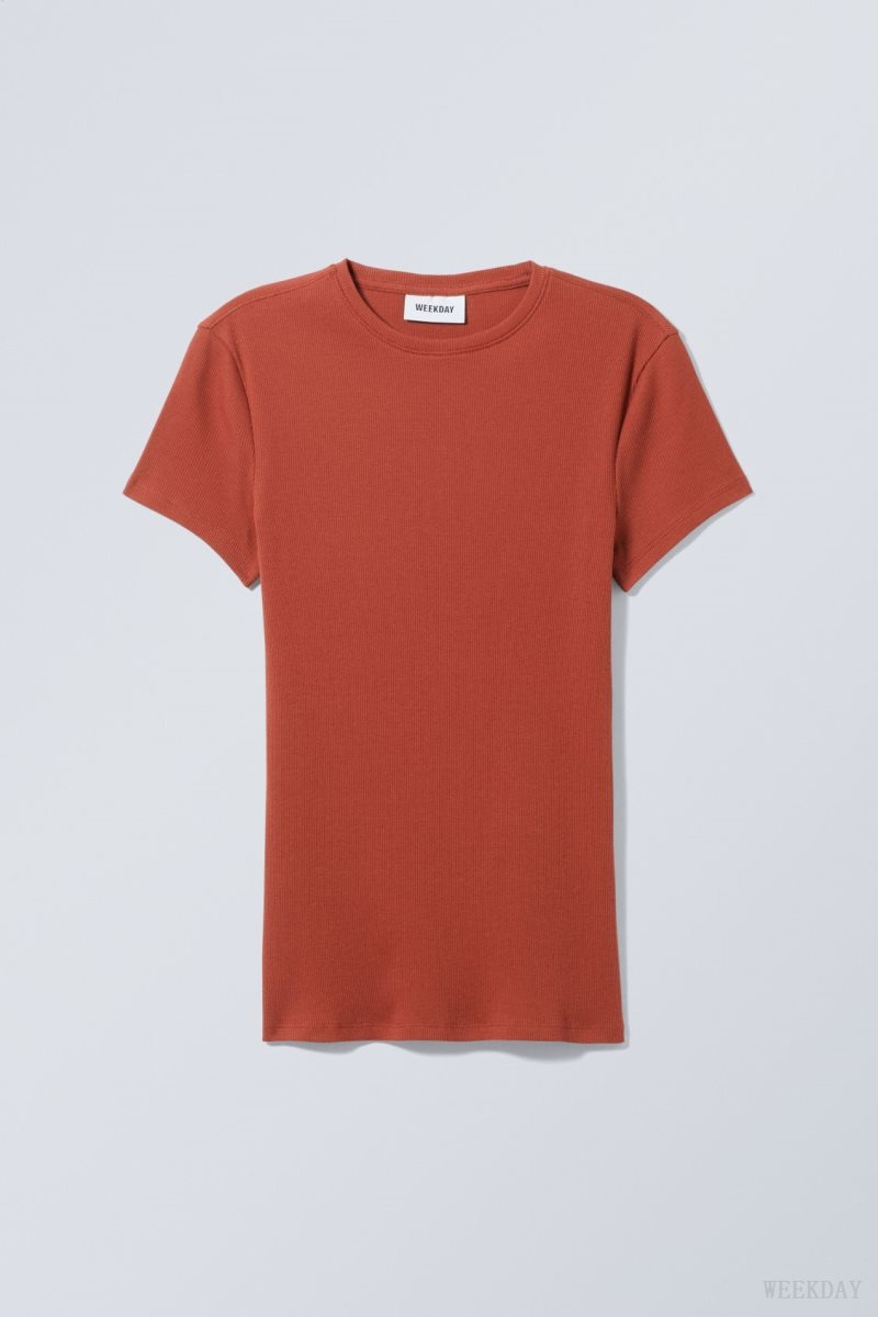 Weekday Close Fitted Rib T-Shirt Dark Orange | FCHG9182