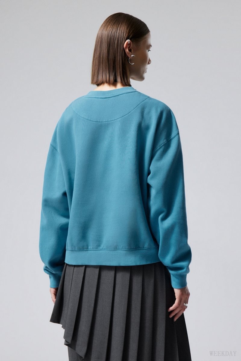 Weekday Essence Standard Sweatshirt Light Blue | SYPM9065