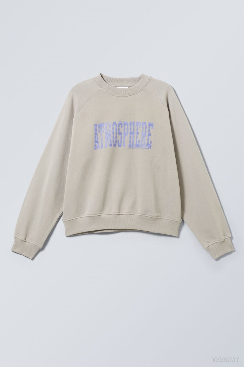 Weekday Regular Raglan Graphic Sweatshirt Atmosphere Dusty Mole | MCCZ0085