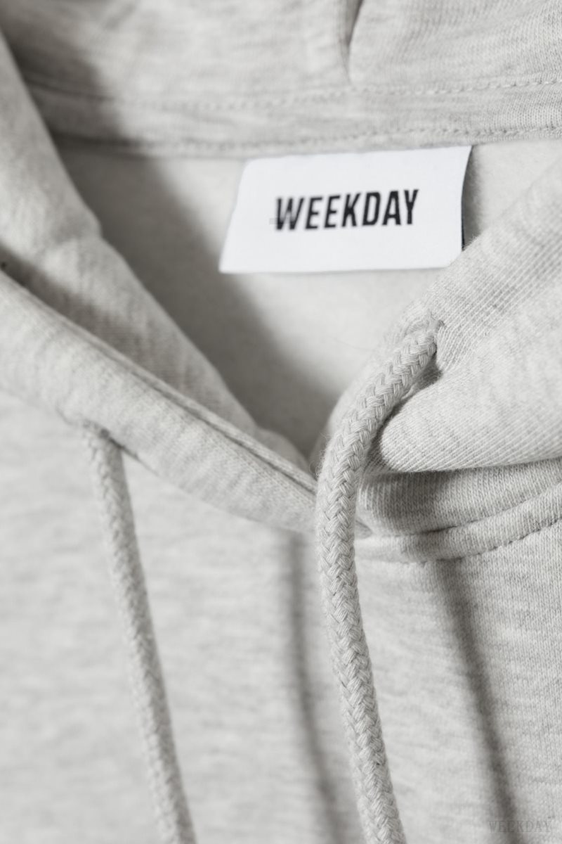 Weekday Relaxed Heavy Hoodie Grey | TFIE3608