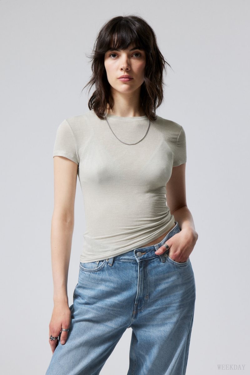 Weekday Soft Sheer Fitted T-shirt Dusty Mole | OWGG8919